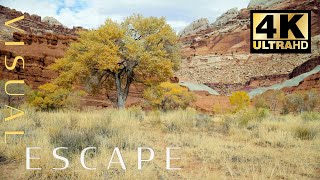 Relaxing Desert Sounds In Southern Utah | 4K