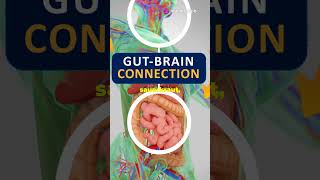 Gut Check  Unlock Your Health!