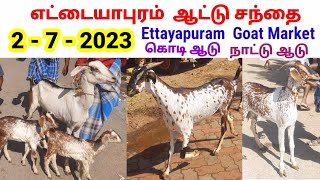 2 - 7 - 2023 / எட்டையாபுரம் ஆட்டு சந்தை / Ettayapuram Goat Market  / கொடி ஆடு / @tamilvivasayi