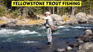 Yellowstone Trout Fishing | Idaho