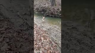 Particularly warm day