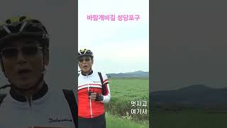 바람개비길 성당포구 #바람개비 #용안