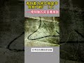 希特勒为何在地堡中自我了断？——希特勒的末日藏身处 history war 军事 希特勒 二战 科普 德国