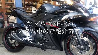 ヤマハ YZF-R3カスタム車のご紹介です。