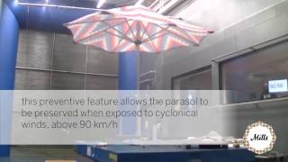 Mills Parasols  - Wind Tunnel Test