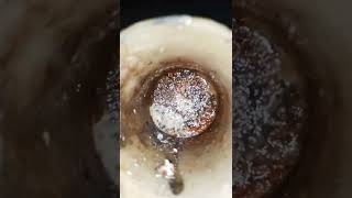 what happens if we mix sodium hydroxide in sugar #shorts#shorts#experiement #you