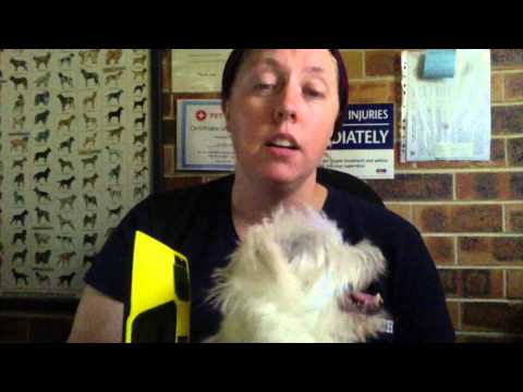 using a stud finder to find a microchip on a lost pet using a stud finder to find a microchip on a lost pet