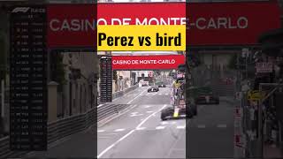 Perez Vs bird #shorts #f1 #youtubeshorts #formula1 #trending #short #viral #fyp #racing #sports