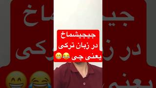 کسی معنی دقیق این کلمه رو  میدونه ؟معادل فارسی نداره 😁 #shorts