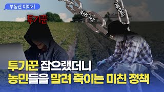 농지 이행강제금 폭탄으로 투기꾼을 때려잡는다? 진짜? #농지법개정 #농지법후폭풍 #농지법위반