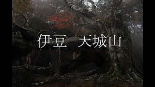 【風景写真家　土屋正英】＃6 伊豆　天城山！写真家の生態とは？作品が出来上がるまでの視点を紹介します。【写真家　VLOG】