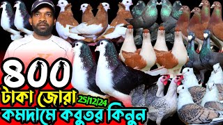 ৪০০ টাকা জোরা কবুতর কিনুন || স্পেশাল অফারে মিশরীয় মুরগি কিনুন || সবচেয়ে কম দামে ফেন্সি কবুতর বিক্রি