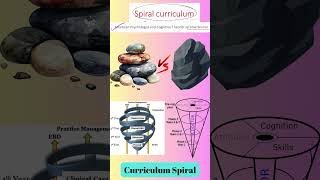 Spiral Curriculum #education #1 #learn #teaching #learning #curriculum #teach #success #educational