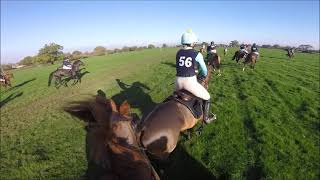 Wynnstay Hunt Scurry Autumn 2022 - Flash