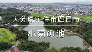 小菊の池(大分県宇佐市四日市)空撮動画 / Usa Trip