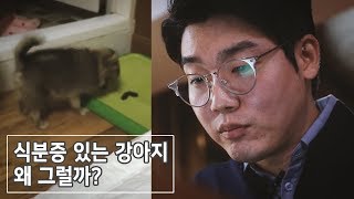 강아지 식분증, 왜 그런 걸까? / 똥 먹는 강아지 / 식분증 고치는 법