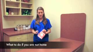 Create a Fire Safety Plan for Your Pet