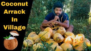 coconut arrack in village | making alcohol drink in wilde life,riding tree | CEYLON