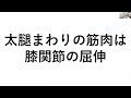 【大腿まわり】　大腿四頭筋などの筋トレ方法について解説