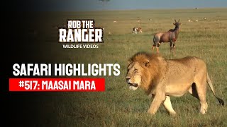Safari Highlights #517: 08 & 09 March 2019 | Maasai Mara/Zebra Plains | Latest #Wildlife Sightings