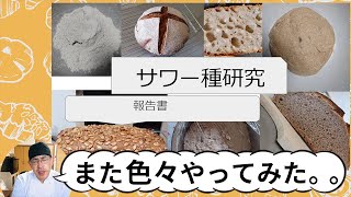 サワー種研究『種の発酵力を強めるには？』