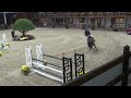 kalou du bourbecq @ class 6yo horses csi lier nov 2022