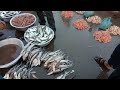 bhaucha dhakka fish market 2023 मुंबई चे सर्वात स्वस्त fish market wholesale fish market mumbai