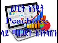 How to Prepare Report, print on Peachtree and send it to Excel  in Amharic