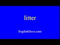 How to pronounce litter in American English.