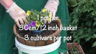 54 - Growing Fruit, Flowers & Vegetables in Hanging Baskets