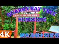 4K QUARRY BAY TREE WALK HONGKONG | NATURE