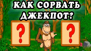 Игровые автоматы обезьянки crazy monkey