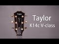 夜盲症 - 蔡健雅 張歆 guitar cover (Taylor K14c Builder's Edition V-class Demo)