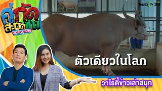 ฮือฮา! ควายงามสีเผือกมูลค่าหลายล้าน | 06 มี.ค.65 | คู่กัดสะบัดข่าว