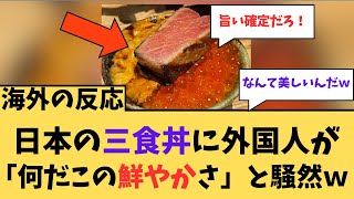 【海外の反応】日本の三食丼に外国人が騒然ｗ