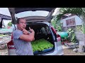 lettuce farming ginawang exercise every weekend..