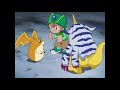 gabumon digievolve in garurumon digimon adventure ep.3