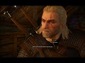 【the witcher 3 wild hunt】 雑談 ハチミツ採って船を眺めて猫に嫌われています