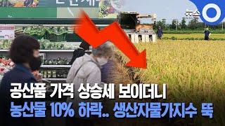 공산품 가격 상승세 보이더니... 농산물 10% 하락.. 생산자물가지수 뚝