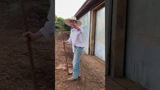 O home não para nunca kkkk…#agro #humor #roça #comedia #viral #youtubeshorts #caipira #fazenda