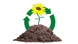 Organics Recycling at the University of Minnesota Twin Cities