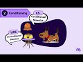 stages of classical conditioning revise in 3 minutes