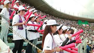 千葉県立多古高等学校　　2018　第100回　全国高等学校野球選手権　東千葉大会　多古高校野球部