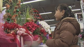 【HTBニュース】札幌花き地方卸売市場で「北国の鉢花まつり」