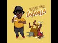 NELSON TIVANE & MUZEKEFANE  - GWALA (BEBIDA)
