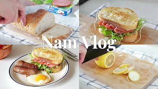 Nam Vlog丨living alone•独居做饭日常•高颜值火腿三明治brunch•泰式风味打抛肉饭和冻柠乐•可乐鸡腿饭•宵夜烤肠老式拌饭的满足•开箱新餐具•治愈vlog