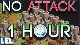 60 Minute No Attack AoE2 Game
