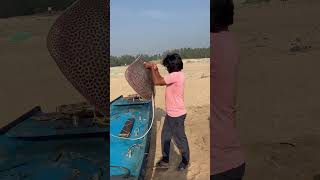 Teku chepalu #teluchepa #pavan_bunga #trending #vlog #viralvideos #beach #fishing #sea #dangerous