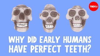 Why do we have crooked teeth when our ancestors didn’t? - G. Richard Scott