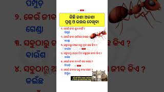 କେଉଁ ଜୀବ ଶୁଏ ନାହିଁ #shorts #odiagk #odisha #youtubeshorts